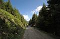 AUS31052009 (165)